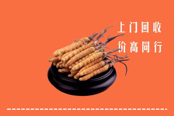 高价求购：淄博市回收散虫草